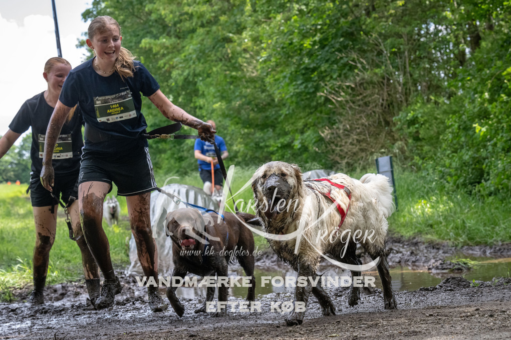 1251_ZZ93946 | kk-dogfotos