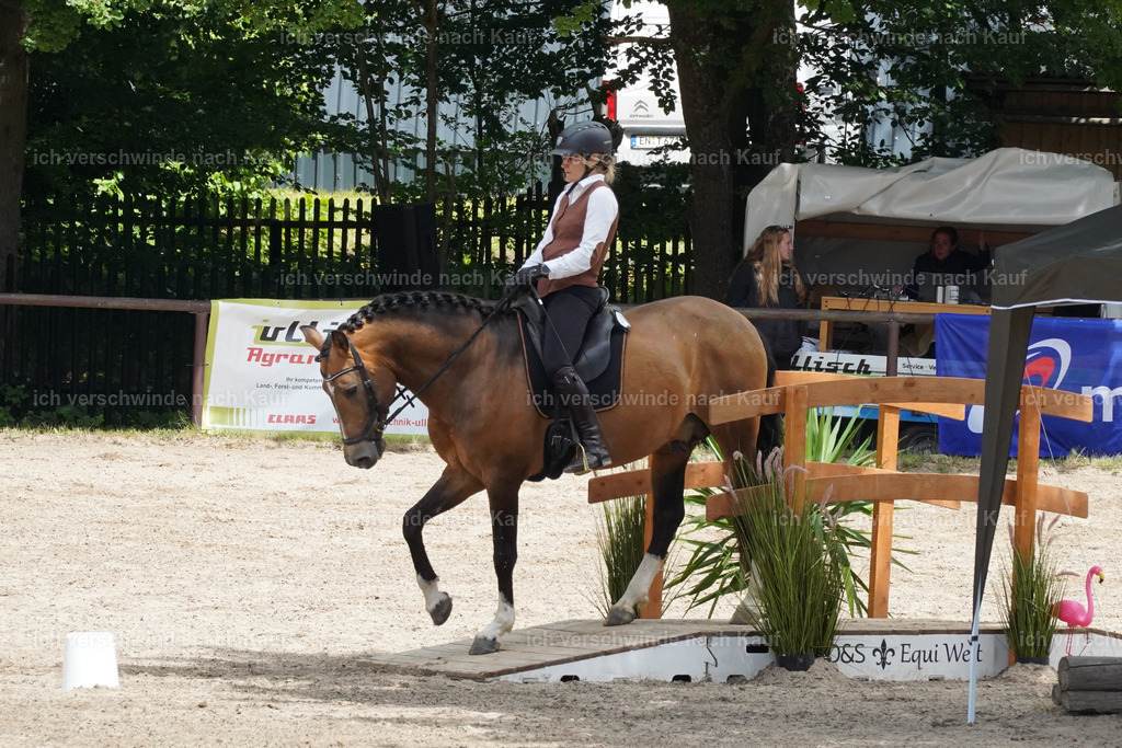 KlasseE_Lucie544 | working equitationturnier fotograf videograf stoibphotography marixx film working equitation deutschland reitsport turnierfotografie eventfotografie equestrian events