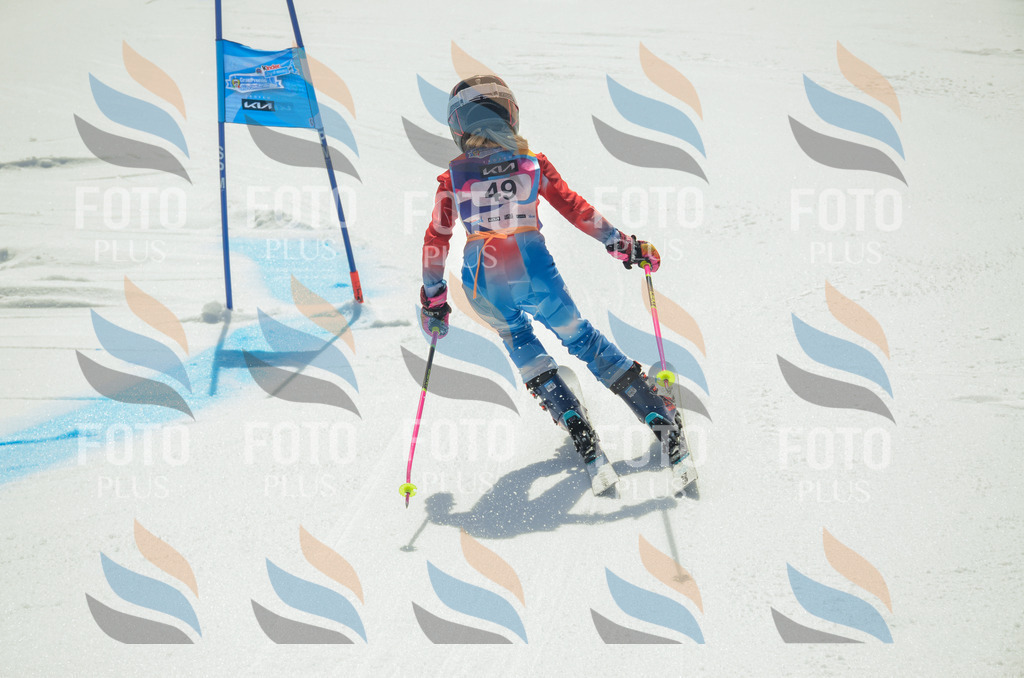 _ELE5177 | holidayphoto