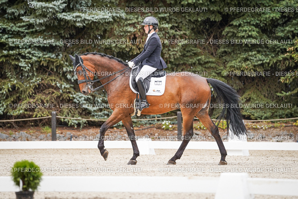 DSC08241 | Pferdegrafie