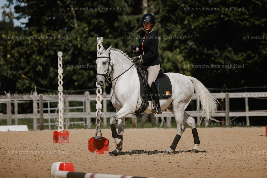 Virginie12FHC2025-27262 | working equitationturnier fotograf videograf stoibphotography marixx film working equitation deutschland reitsport turnierfotografie eventfotografie equestrian events