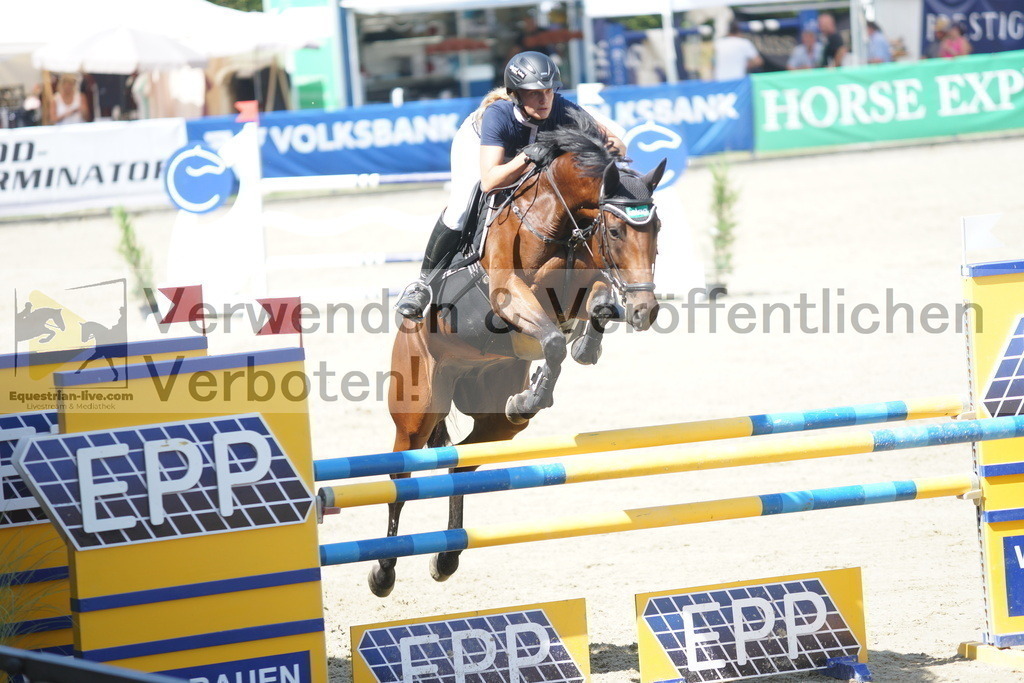 DSC05841 | equestrian-live-com