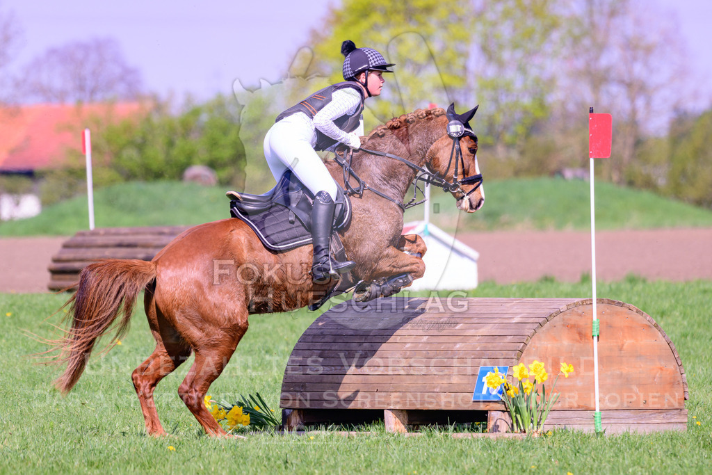 18042026-Gernlinden-04-1-0150 | Fokus Hufschlag Fotografie - Realisiert mit Pictrs.com