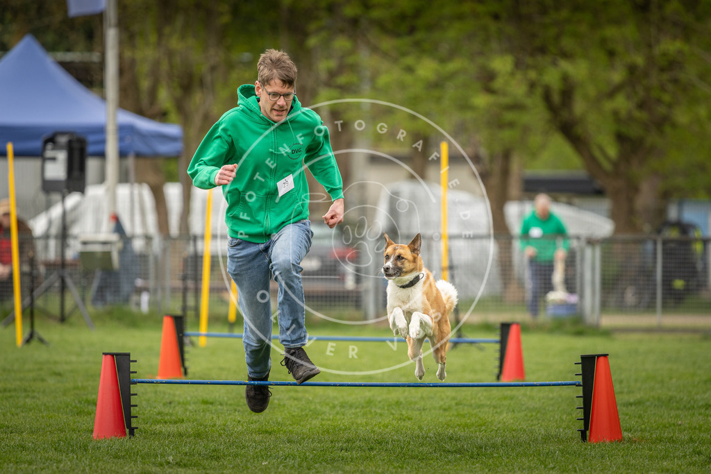 Pfotenfotografie_DV3A2677 | Hundefotografie, Tierfotograf, Pfotenfotografie, Fotoshooting Hund, Hunde Portrait, Hundesport, Hundeportraits, Heideshooting, Hunde, Sportfotograf, Hundefotograf, Turnierhundsport, THS,  - Realisiert mit Pictrs.com