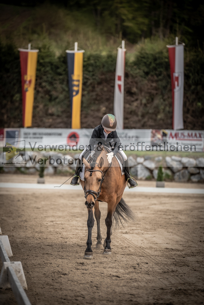 DSC_8480 | equestrian-live-com