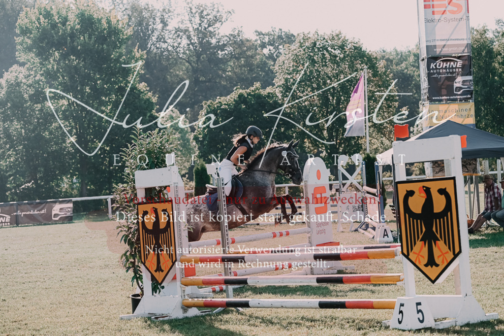 DSC_4496 | Pferde- und Turnierfotografie in Westsachsen. Pferdeportraits, Auftragszeichnungen und intuitive Kunst.