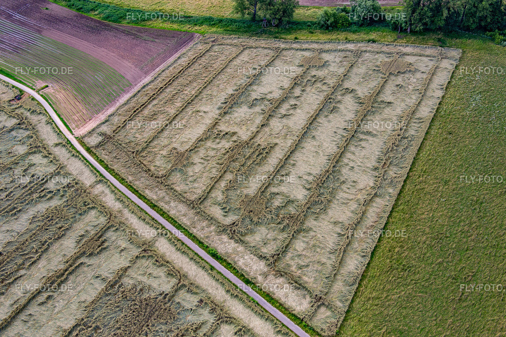 Getreidefeld mit Gewitterschäden | Luftbild: Getreidefeld mit Gewitterschäden im Ortsteil Geinsheim in Neustadt im Bundesland Rheinland-Pfalz in Deutschland. Foto: IMG_090085.jpg vom 26.06.2016 durch Werner Riehm/FLY-FOTO.de - Realisiert mit Pictrs.com