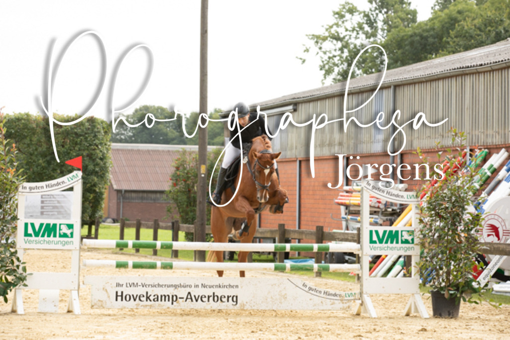 IMG_6604 | photographesa-joergens - Realisiert mit Pictrs.com