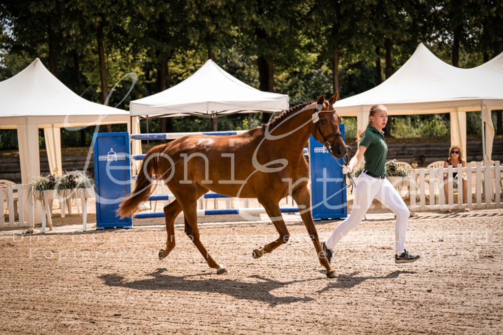 1.Fr00037 | Leoni Ertmer Photography - Realisiert mit Pictrs.com