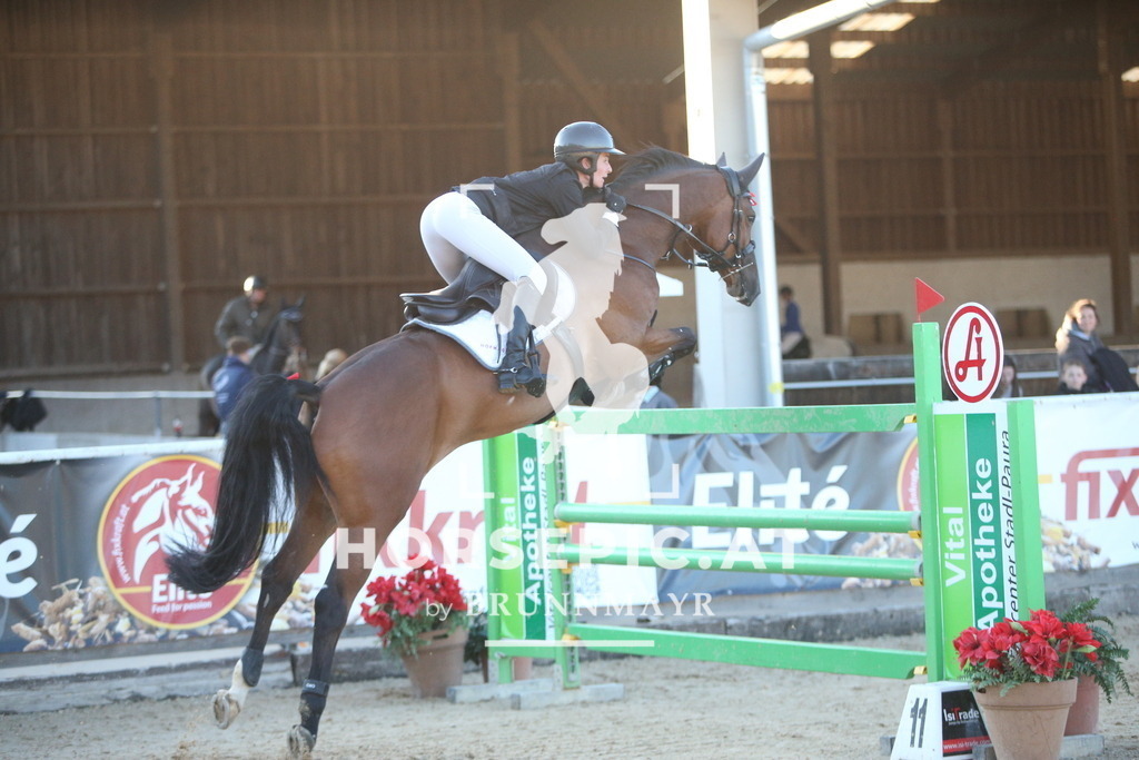 PP016492 | Willkommen bei Brunnmayr - Design & Fotografie – Ihrem Spezialisten für Reitturniere und Pferdeveranstaltungen in Oberösterreich, Salzburg und Bayern! Seit über 17 Jahren sind wir leidenschaftlich dabei.