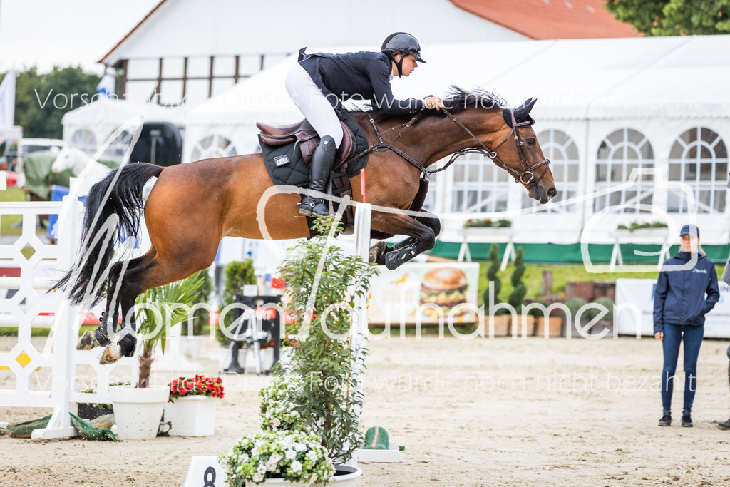 BHO-2PhSpr-M-276 | MomenTaufnahmen Pferdesportfotos