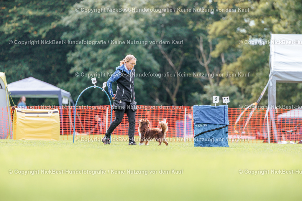 BSP Hoopers-H2-2026-Nickbest-Hundefotografie-TuS Komet Arsten e.V.-6194 | Dein Hund! Dein Moment! Deine Erinnerungen! Hundefotografie in Bremen Blumenthal. Ich fange die besonderen Momente deines Vierbeiners ein – ob Indoor mit Blitzanlage oder in der freien Natur. Sicher dir dein Moment und dein Termin für eure Erinnerungen.