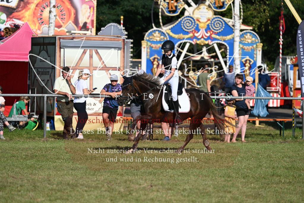 DSC_5023 | Pferde- und Turnierfotografie in Westsachsen. Pferdeportraits, Auftragszeichnungen und intuitive Kunst.
