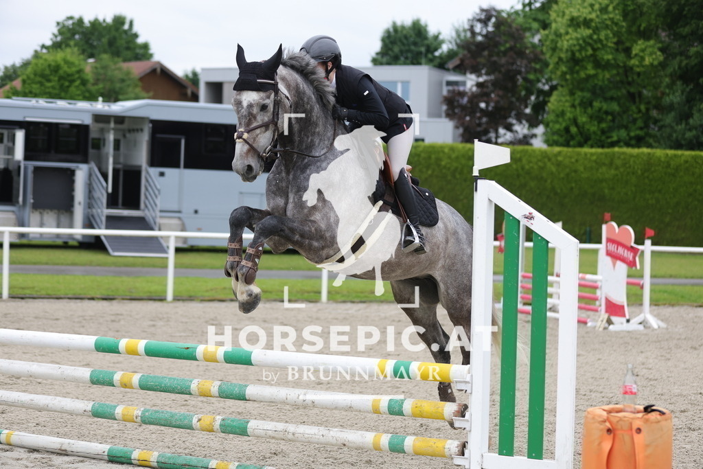 0P6A8628 | Willkommen bei Brunnmayr - Design & Fotografie – Ihrem Spezialisten für Reitturniere und Pferdeveranstaltungen in Oberösterreich, Salzburg und Bayern! Seit über 17 Jahren sind wir leidenschaftlich dabei.