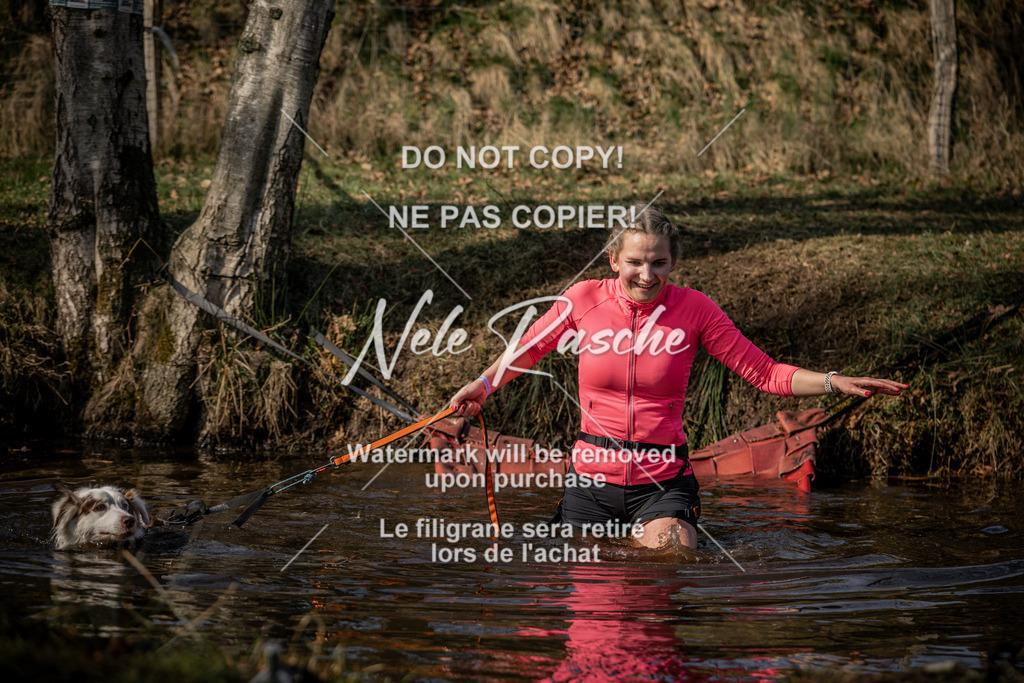 nelerasche_FS1330-1400_212 | nelerasche