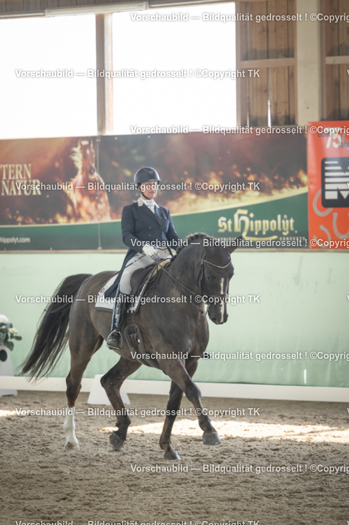 _D5A1821 | Emotionale Pferde- & People-Fotografie rund um Heidelberg, Leimen & Umgebung. Natürliche Fotos von Pferd, Mensch & Familie. Jetzt Termin sichern!