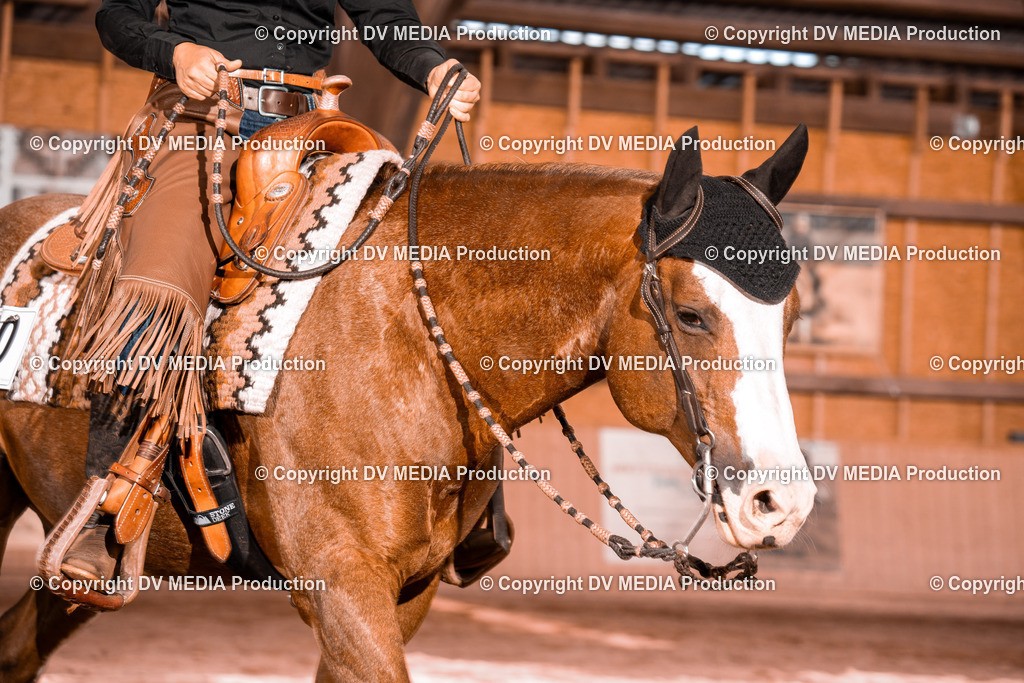 NE100843 | dv-media-shop - Realisiert mit Pictrs.com