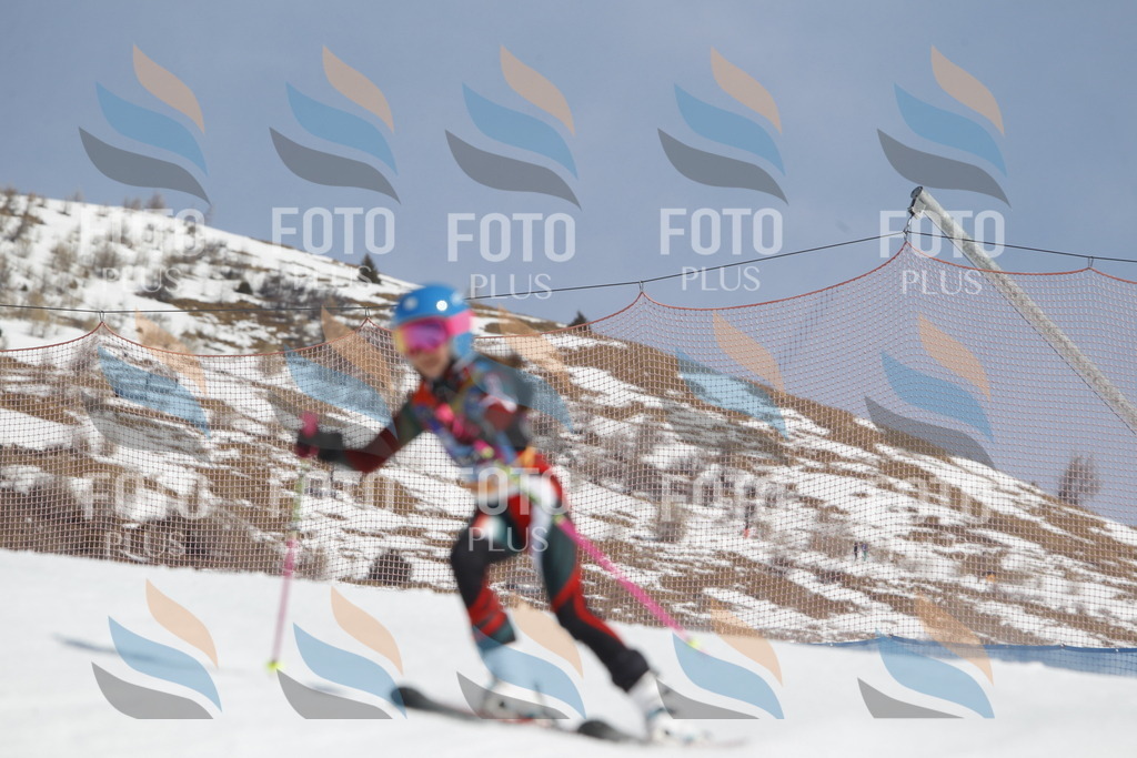 _U3G1238 | holidayphoto