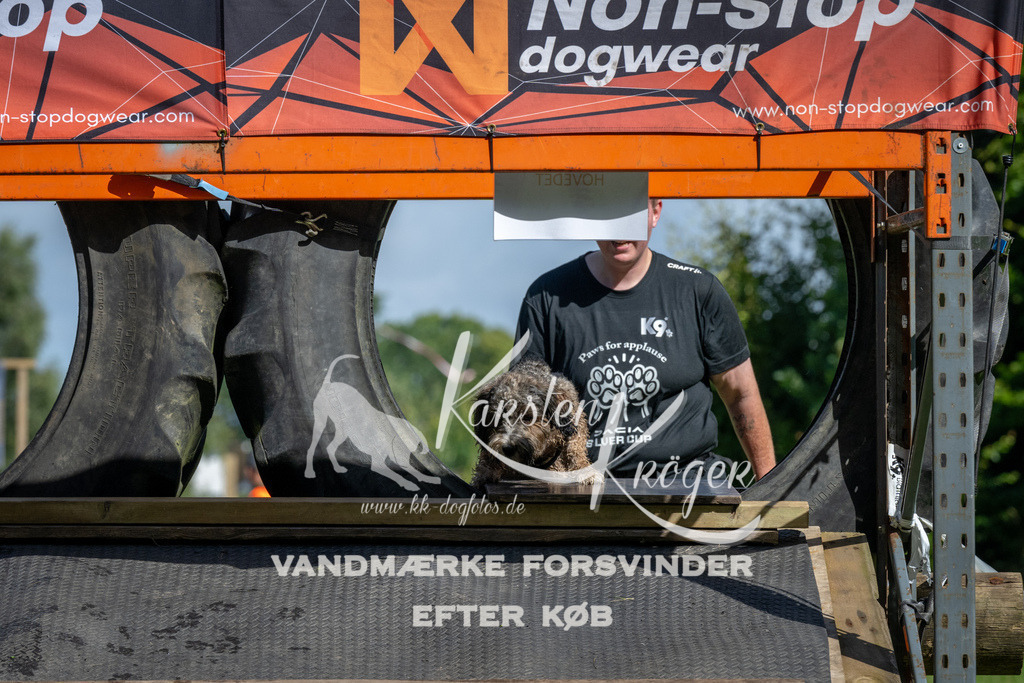 1104_ZZ91797 | kk-dogfotos