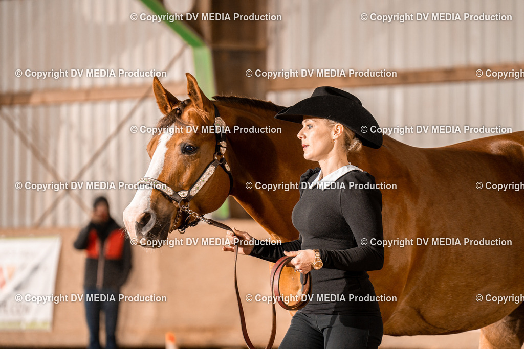 BAL01369 | dv-media-shop - Realisiert mit Pictrs.com