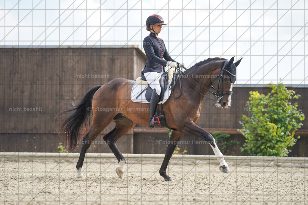 20230826-FAH05989 | Forstinning, 2023, Dressurturnier, Turniersportbilder, Turnierfotografen Bayern, Fotoagentur Herrmann, Reitsportfotografie, Turnierbilder