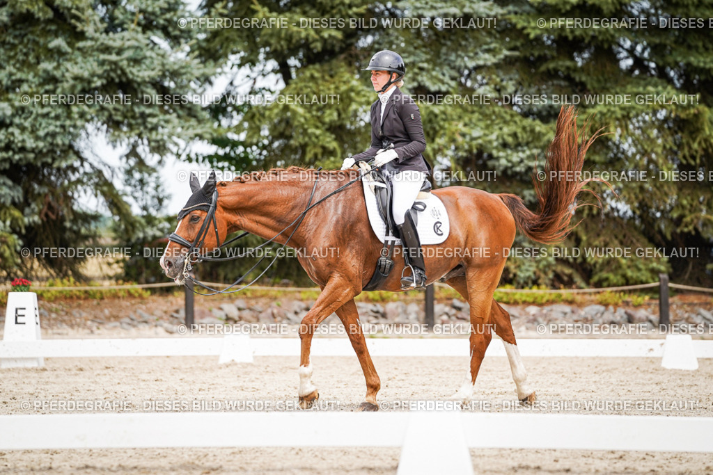 DSC05361 | Pferdegrafie