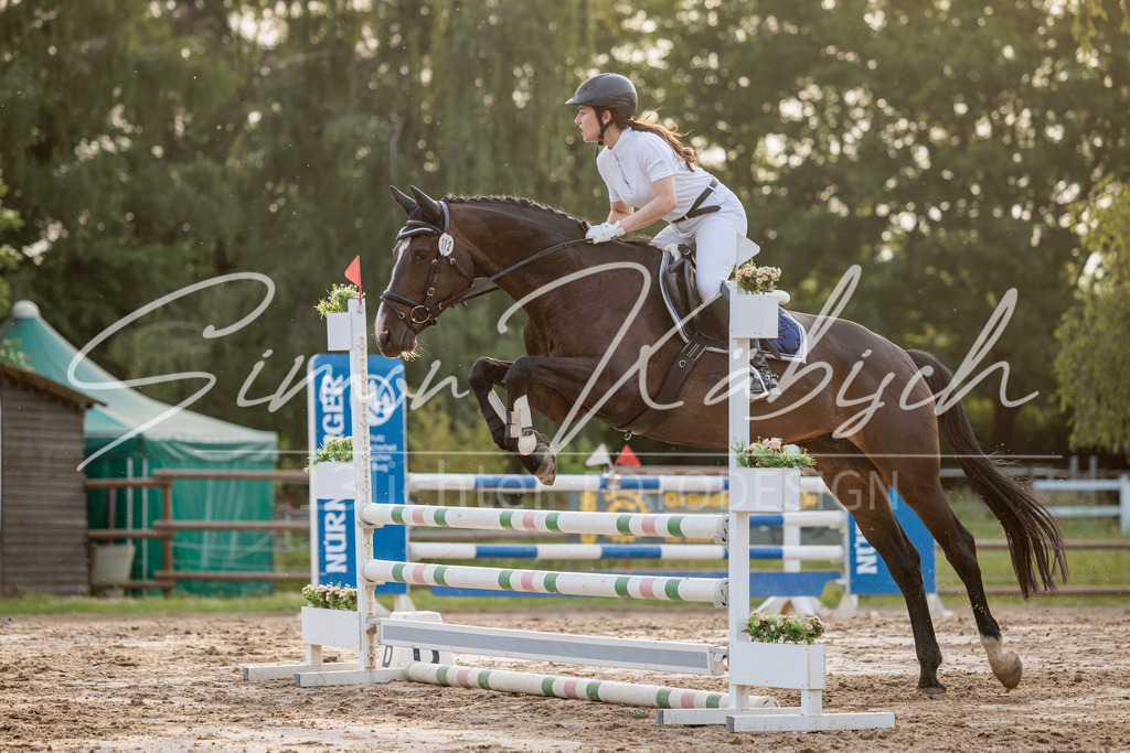 20260529-_3LI1784 | Tierfotografie Pferde, Hunde, Katzen, Haustiere.
Turnierfotografie Reitturniere, Reiten, Springreiten, Dressur in Hanau, dem Main-Kinzig-Kreis und dem Rhein-Main- Gebiet um Frankfurt