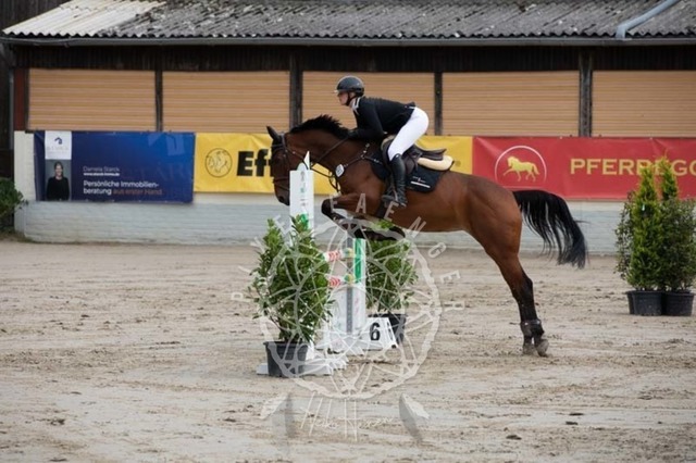 2B4A1481 | pixelfaenger - Realisiert mit Pictrs.com