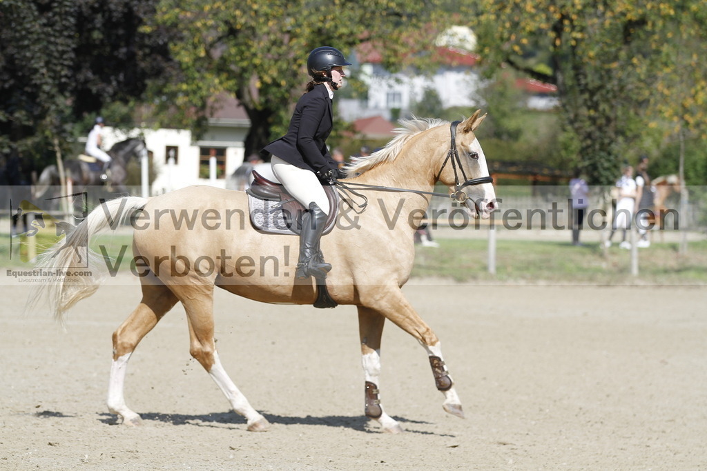 _MG_9268 | equestrian-live-com