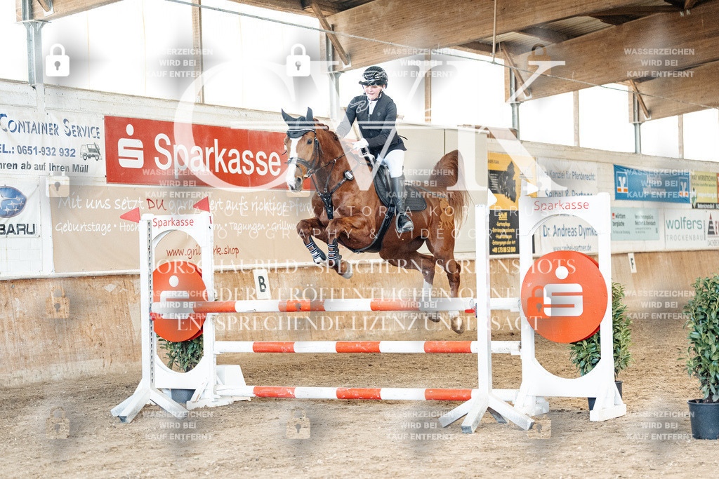 CK905063 | Turnierfotografie Pferdefotografie Trier Rheinland-Pfalz Pferdesport Reitsport Tierfotografie Sportfotografie Pferdevideo Pferdevideografie Equestrianvideography equestrianphotography  - Realisiert mit Pictrs.com