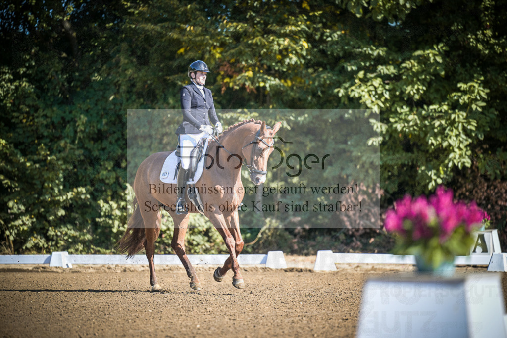 DOS_2059 | Entdecke hochwertige Reitturnierfotos von Foto Oger. Professionell, emotional und authentisch – jetzt Lieblingsmomente im Shop bestellen.Deutschlandweite Turnierfotografie. - Realisiert mit Pictrs.com