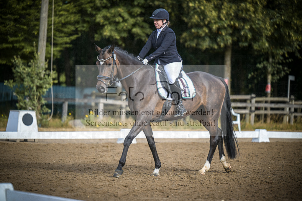 DOS_0150 | Entdecke hochwertige Reitturnierfotos von Foto Oger. Professionell, emotional und authentisch – jetzt Lieblingsmomente im Shop bestellen.Deutschlandweite Turnierfotografie. - Realisiert mit Pictrs.com