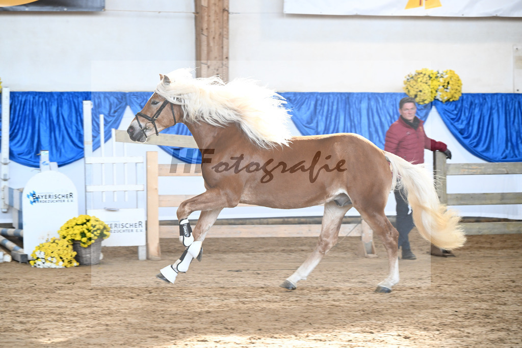 Kat-Nr. 11 nn v. Nordkerl_Nonn_48250234 | hf-fotografie - Realisiert mit Pictrs.com