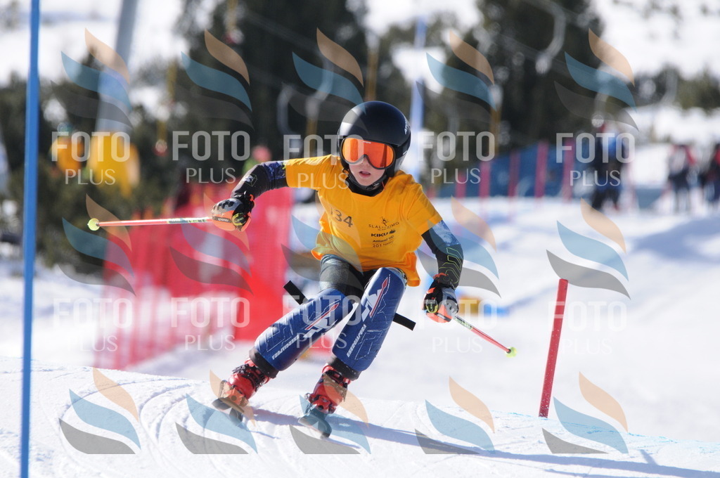 C7229 | holidayphoto