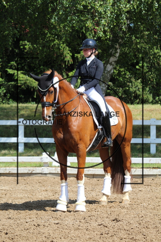 IMG_7272 | franziskalange - Realisiert mit Pictrs.com