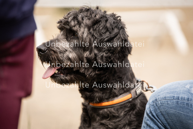 Bad_Meinberg_09770 | saradresslerfotografie - Realisiert mit Pictrs.com