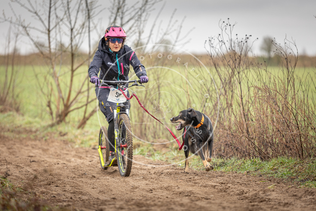 DV3A9329 | Hundefotografie, Tierfotograf, Pfotenfotografie, Fotoshooting Hund, Hunde Portrait, Hundesport, Hundeportraits, Heideshooting, Hunde, Sportfotograf, Hundefotograf, Turnierhundsport, THS,  - Realisiert mit Pictrs.com