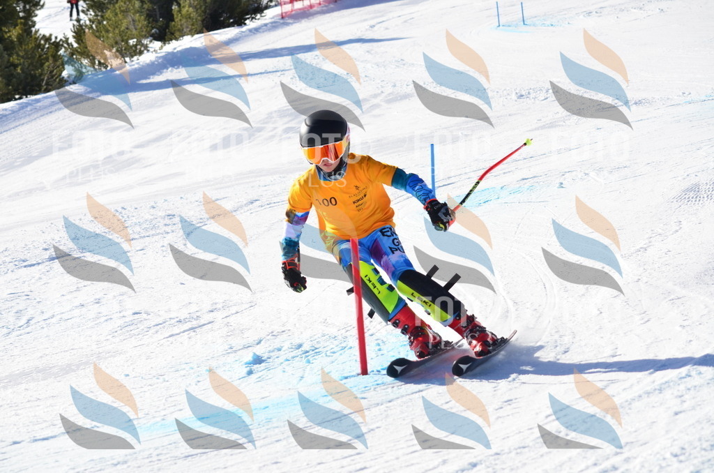 C6181 | holidayphoto