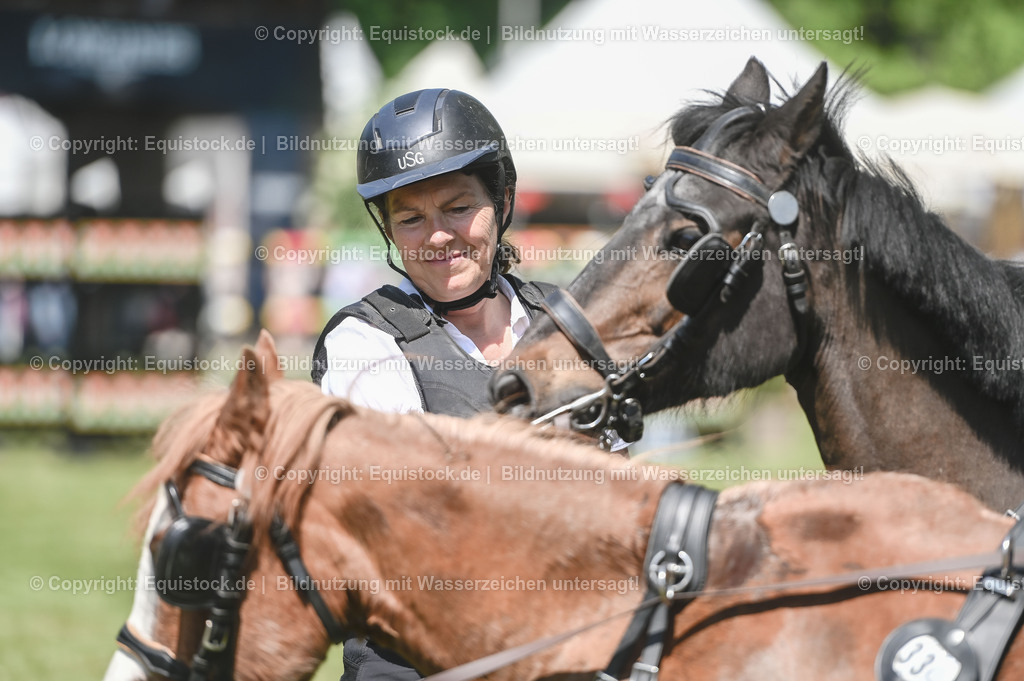 20230528_Jump-and-Drive_0245 | equistock