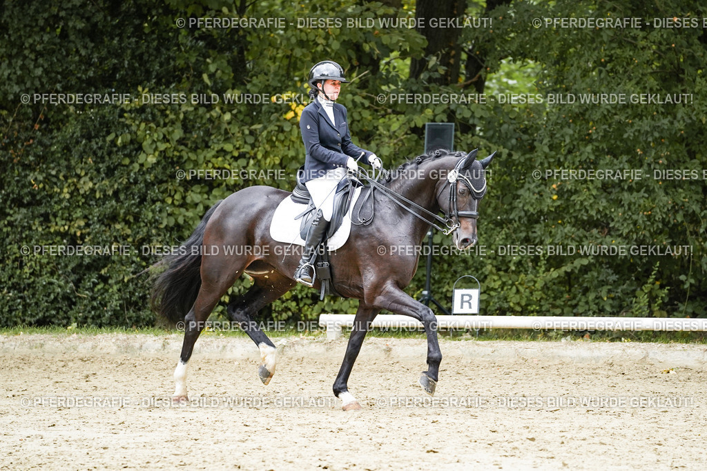 DSC07035 | Pferdegrafie