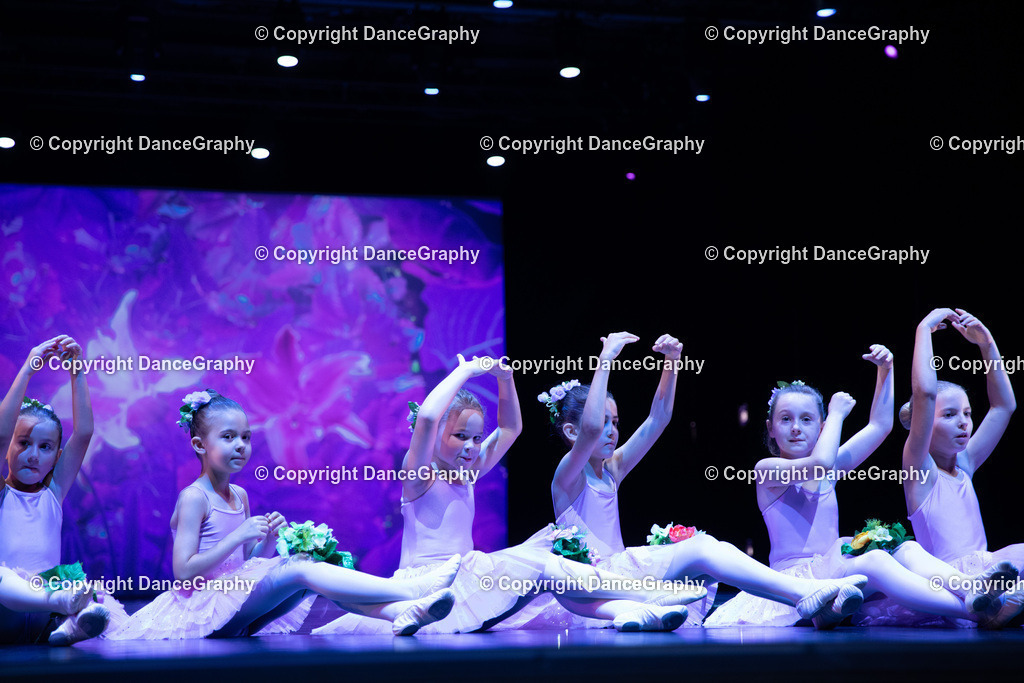 GPHY4876 | DanceGraphy - Realisiert mit Pictrs.com