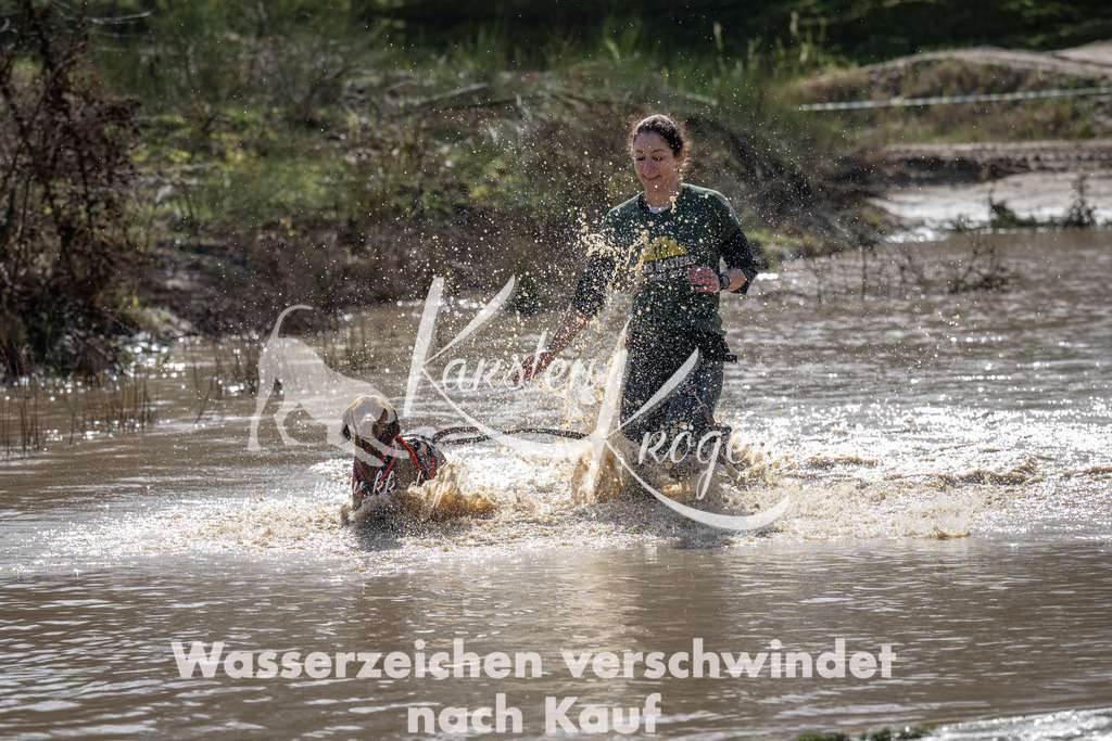 1159_ZZ91464 | kk-dogfotos