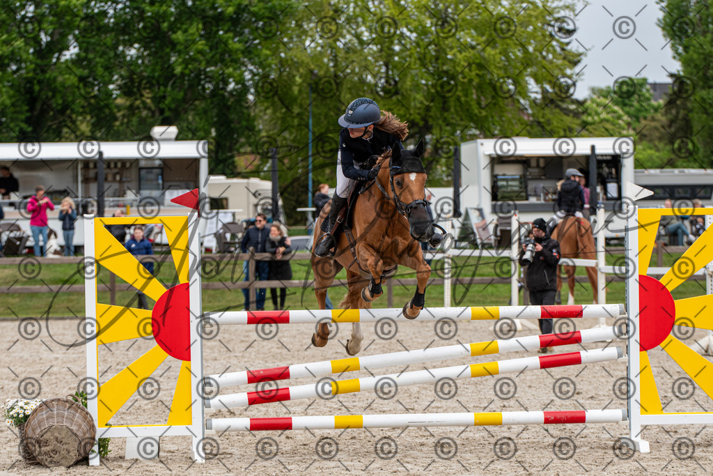 KPT_8291 | andre_photographic