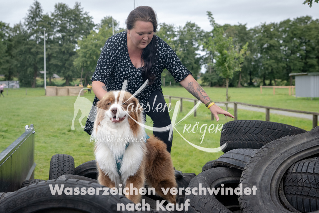 1300_ZZ92973 | kk-dogfotos