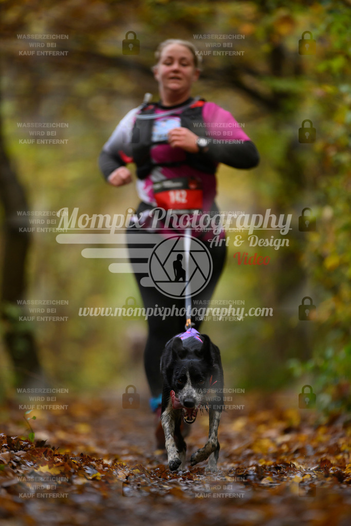 MompixPhotography_CD7S_DI_CCL-150 | mompixphotography