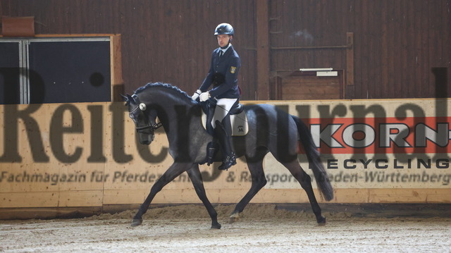 Marbach_Winterkörung_2024_KN_02 (11) | Alle Fotos der Reiterjournal Fotografin Doris Matthaes im Reiterjournal Online-Fotoshop. - Realisiert mit Pictrs.com