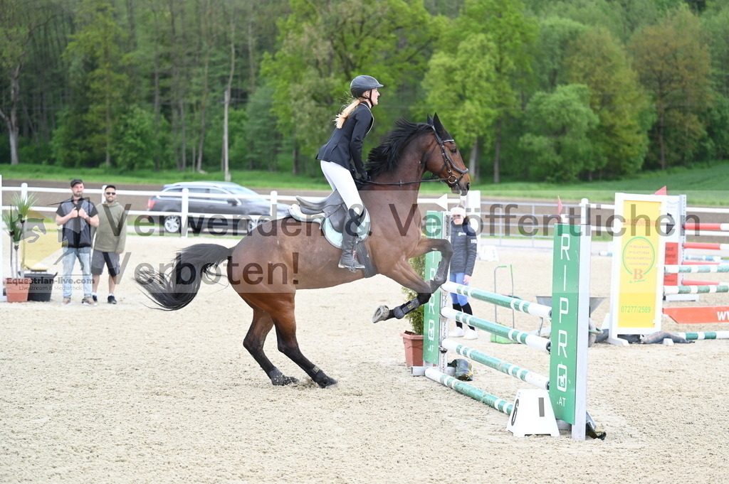 DSC_0679 | equestrian-live-com