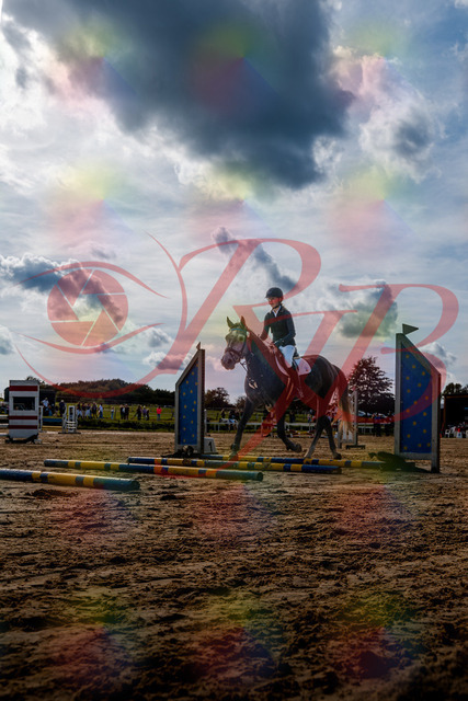 2026_10_03_Siefer-Hof_144751_Z63_05501916 | Professionelle Reitsport-, Turnier- und Eventfotografie von Robert Broda. Galerien mit ausgewählten und bearbeiteten Bildern direkt online ansehen und bestellen.