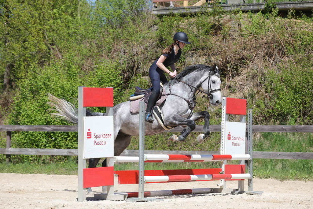 0P6A8877 | Willkommen bei Brunnmayr - Design & Fotografie – Ihrem Spezialisten für Reitturniere und Pferdeveranstaltungen in Oberösterreich, Salzburg und Bayern! Seit über 17 Jahren sind wir leidenschaftlich dabei.