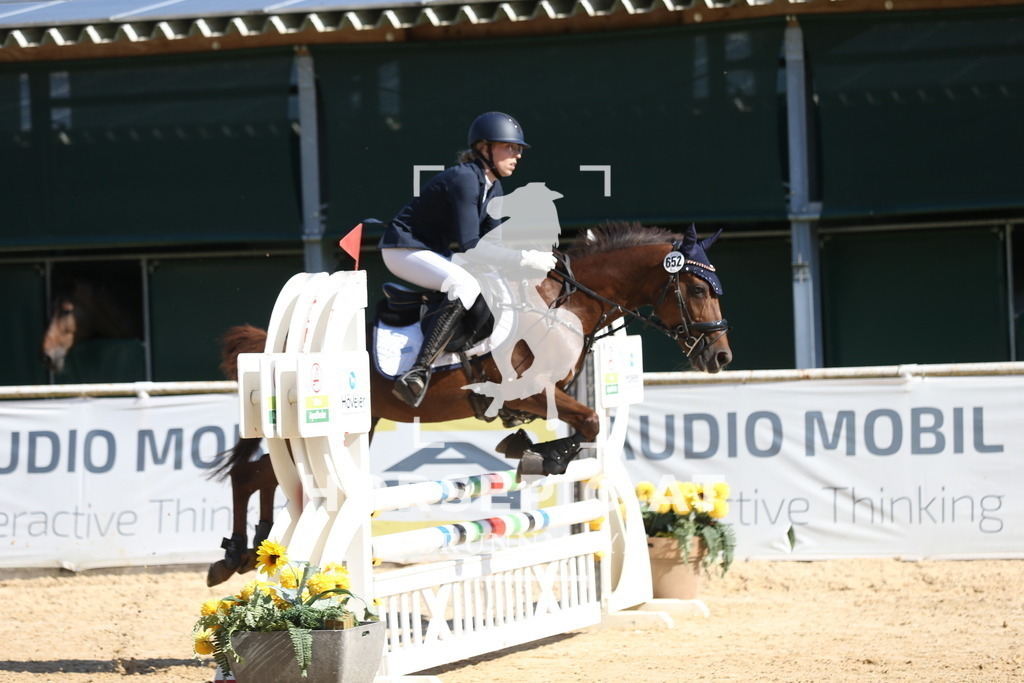 DL2Q8025 | Willkommen bei Brunnmayr - Design & Fotografie – Ihrem Spezialisten für Reitturniere und Pferdeveranstaltungen in Oberösterreich, Salzburg und Bayern! Seit über 17 Jahren sind wir leidenschaftlich dabei.